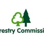 Expansion Plans for Gisburn Forest