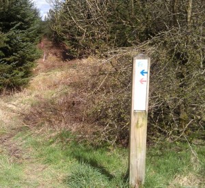 Gisburn Car Park Trail